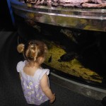 20140331-beachday2b-11