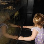 20140331-beachday2b-13