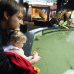 20140331-beachday2b-18