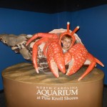 20140331-beachday2b-25