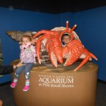 20140331-beachday2b-26