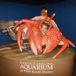 20140331-beachday2b-27