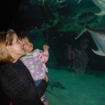 20140331-beachday2b-31