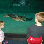 20140331-beachday2b-32