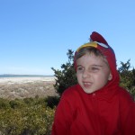 20140331-beachday2b-51