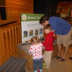 20140331-beachday2b-56