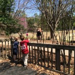 20140402-lhparkday-15