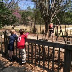 20140402-lhparkday-16