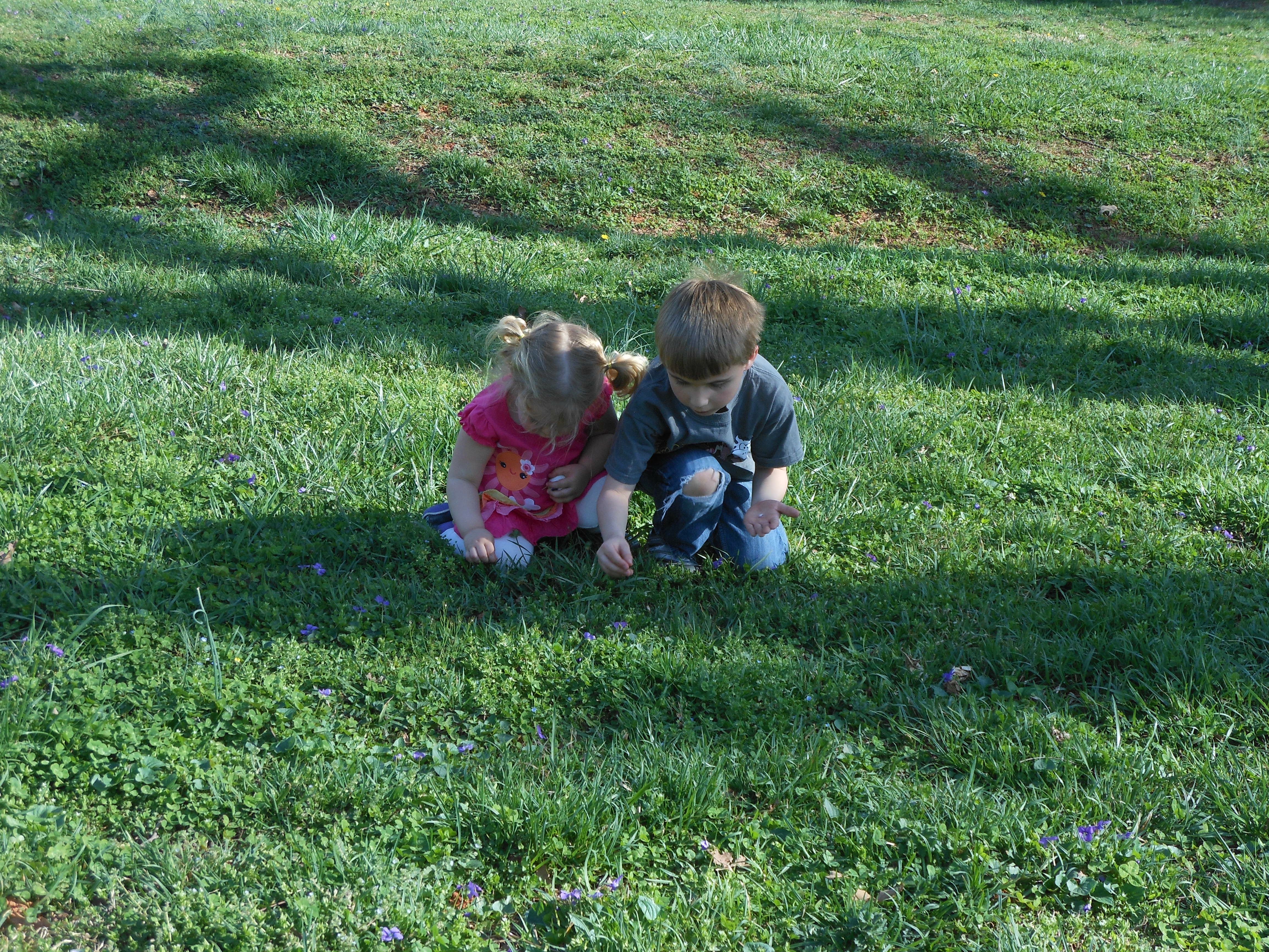 Springtime at Fred Fletcher Park