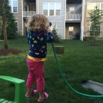 20140405-backyard2-03