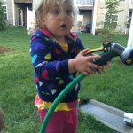 20140405-backyard2-05