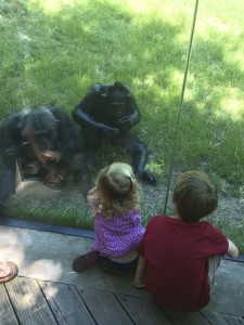 20140524-zootrip1-15