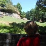 20140524-zootrip2-07