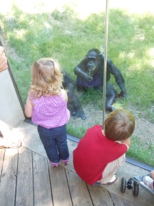 20140524-zootrip2-23