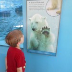 20140524-zootrip2-49