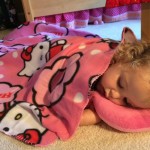 20140609-rosemary4-15