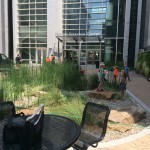 20140620-marblescamp2-2