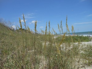 20140705-beachtripday4--34