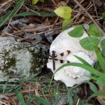 20140709-funeralday-03