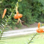 20140709-funeralday-09