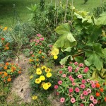 20140719-scanningdaythesecond--01