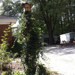 20140720-brianonscanningday-3