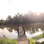 20140720-revengeofscanning-09