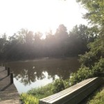 20140720-revengeofscanning-11