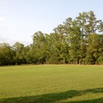 20140720-sonofscanningday-23