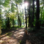 20140720-sonofscanningday-30