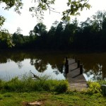 20140720-sonofscanningday-38