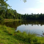 20140720-sonofscanningday-40