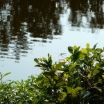 20140720-sonofscanningday-42