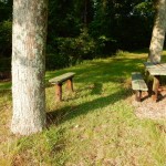 20140720-sonofscanningday-45