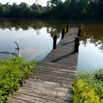 20140720-sonofscanningday-46