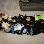 20141004-andersonbday-217