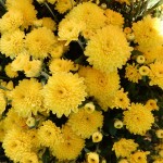 20141019-statefair2-023