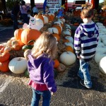 20141025-pumpkintime-01