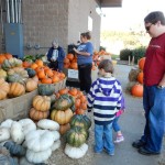 20141025-pumpkintime-03