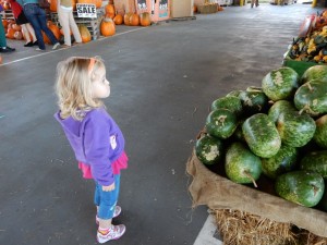 20141025-pumpkintime-08