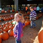 20141025-pumpkintime-17