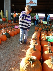 20141025-pumpkintime-18