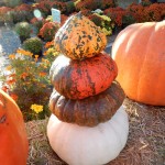 20141025-pumpkintime-19