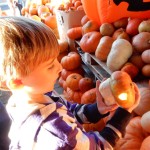 20141025-pumpkintime-30