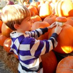 20141025-pumpkintime-39