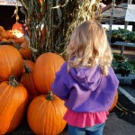 20141025-pumpkintime-53
