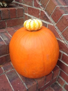 20141029-halloweenprep2-09