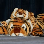 20140825-firstday1st-211