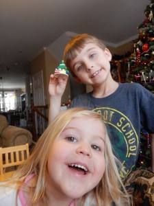 20141129-ornaments-013