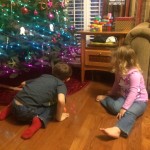 20141129-ornaments-301